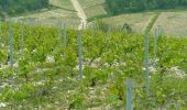 Percorso Bicicletta elettrica Chablis - Chablis Vaucoupin Gérard 21052023 - Photo 2