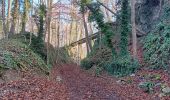 Trail Walking Aywaille - promenade aywaille 