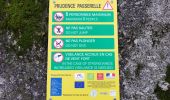 Excursión Senderismo Prévenchères -  Gorges de Chassezac - Photo 19