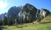 Percorso A piedi Gosau - Herrenweg - Photo 4