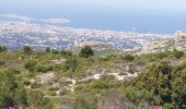 Percorso Mountainbike Allauch - les antennes du garlaban - Photo 7