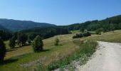 Tour Zu Fuß Schwarzburg - Naturlehrpfad Heinrich Cotta - Photo 5