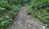 Tocht Stappen Saint-Sulpice-de-Favières - Saint-Sulpice-de-Favières - Photo 14