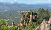 Excursión  Puget-sur-Argens - Lieutenante - Pierre du Coucou / bis - Photo 2