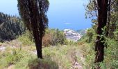 Trail On foot Pimonte - (SI S20S) Faito - Colli di Fontanelle - Photo 9