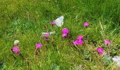 Tocht Stappen Cauterets - la boucle du Marcadau - Photo 4