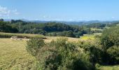 Tour Wandern Susmiou - GR 65 Navarrenx > Lichos - Photo 7