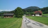 Trail On foot Semriach - Wanderweg 13a - Photo 5