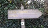 Trail On foot Saint-Pardon-de-Conques - Les Jauberthes - Photo 3