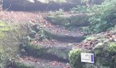 Trail Walking La Petite-Pierre - samedi - Photo 6