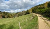 Tour Wandern Châteldon - Randonnée du Vauziron à la Chasserelle - Photo 3