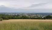 Trail Walking Chavigny - De Ludres à Chavigny par le Bois de la Grande Fraize - Photo 4