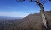 Trail Walking Ourches - Le Tour de Chalamet - Photo 6