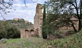 Excursión Senderismo Corbère-les-Cabanes - cerbère chapelle sa t père del bosc - Photo 16