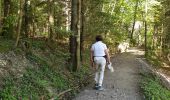 Trail Walking Saou - foret saou - Photo 3