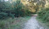 Tocht Stappen Canéjan - clés du jardin  - Photo 1