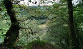 Trail Walking Bouillon - Poupehan_Rochehaut_Frahan_Poupzhan - Photo 13