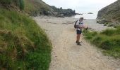 Trail Walking Locmaria - belle île de la pointe de Pouldon à la plage de Herlin - Photo 3