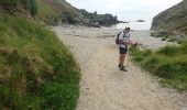 Randonnée Marche Locmaria - belle île de la pointe de Pouldon à la plage de Herlin - Photo 3