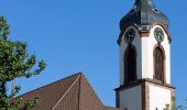 Excursión A pie Weinheim - Rundwanderweg Am Bischof 4: Talberg-Weg - Photo 1