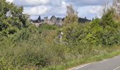 Tour Wandern Saint-Rémy-lès-Chevreuse - Virade de St Remy Parcours jaune - Photo 19