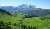 Tocht Te voet Soraga di Fassa - (SI C16S) Rifugio Fuciade - Passo Cirelle - Rifugio Contrin - Photo 8