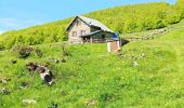 Tour Wandern Omblèze - Refuge d' Ambel - Photo 2