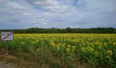 Tour Wandern Azay-sur-Cher - Azay-sur-Cher - le Grais - 13.1km 100m 2h55 - 2023 07 12 - Photo 2