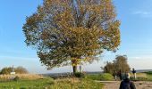 Excursión Senderismo Huldenberg - Loombeek Lefdaal  - Photo 1