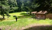 Tour Wandern Markirch - 2020-06-20 Marche Tete du Violu Col de Ste Marie - Photo 9