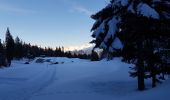 Randonnée Raquettes à neige Autrans-Méaudre en Vercors - gros martel - Photo 5