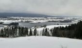 Tocht Sneeuwschoenen Grande-Rivière-Château - 20230105 - Photo 1