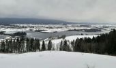 Tour Schneeschuhwandern Grande-Rivière-Château - 20230105 - Photo 1