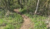 Percorso Marcia Étampes - Etampes - Sentier des plateaux - Photo 14