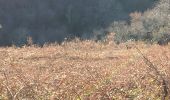 Randonnée Marche Sare - Col en col la Rhune SARE  - Photo 4