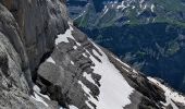 Randonnée Marche Ormont-Dessus - 2024-07-14 Marche Suisse Diablerets Sommet Glacier des Diablerets - Photo 3