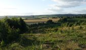 Tocht Stappen Neufchâteau - Massul - Lahérie - Photo 12