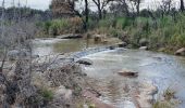 Percorso Marcia Le Cannet-des-Maures - la plaine des maures - Photo 3