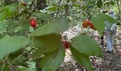 Trail Walking Rochefort - Han-sÃ»r-Lesse - Photo 13