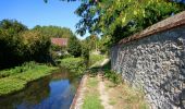 Trail Walking Veuzain-sur-Loire - Onzain - GR3 Chouzy-sur-Cisse GR353B - 24.7km 250m 5h45 (30mn) - 2022 09 18 - Photo 7