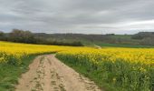 Excursión Senderismo Houyet - Randonnée à Houyet 🌼 - Photo 5