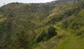 Tour Wandern Prazeres - Madère - Paul do Mar - Photo 6