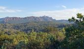 Tocht Stappen Saint-Raphaël - les ferrières depuis le parcours pédestre de St Raphaël - Photo 8