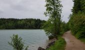 Excursión Senderismo Le Frasnois - Cascades du Hérisson et les 4 lacs  - Photo 5