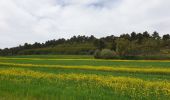 Randonnée Marche Gardanne - mur gueidan - Photo 4