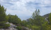 Trail Walking Cassis - Calanques de Port Miou, Port Pin et d'En Vau - Photo 11