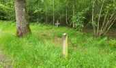 Trail Walking Gedinne - Vencimont 050624 - Photo 17