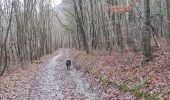Trail Walking Piégros-la-Clastre - le collet en hiver - Photo 1