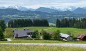 Tour Wandern Thalgau - De Wasenmoos à la Chapelle du Kolomansberg - Photo 20