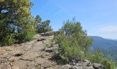 Trail Walking Belgentier - Pas de Belgentier  - Photo 15